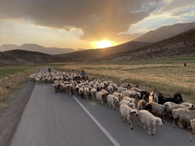 8 دلیل جذاب برای تجربه زندگی عشایر بختیاری!