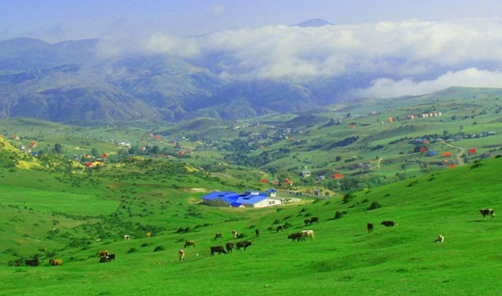 ییلاق دیلمان