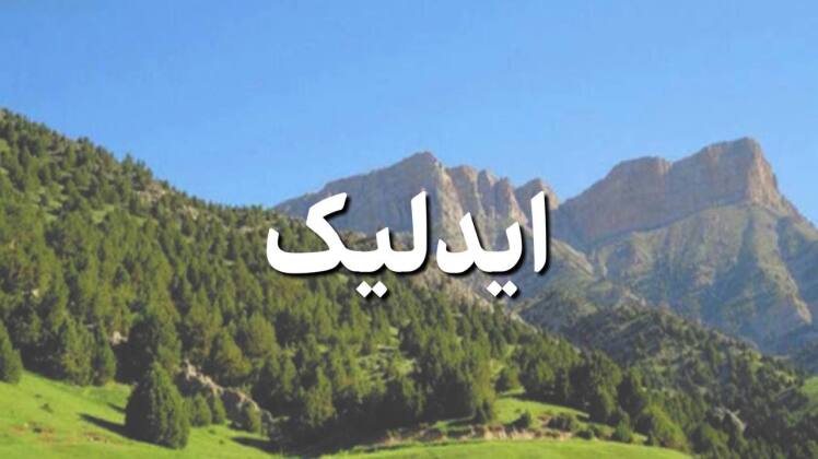 تور ایدلیک از مشهد