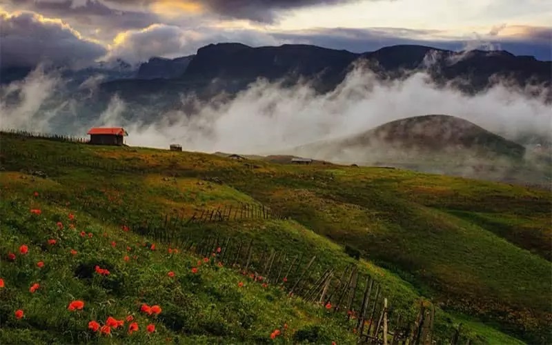 معرفی سورباتان 