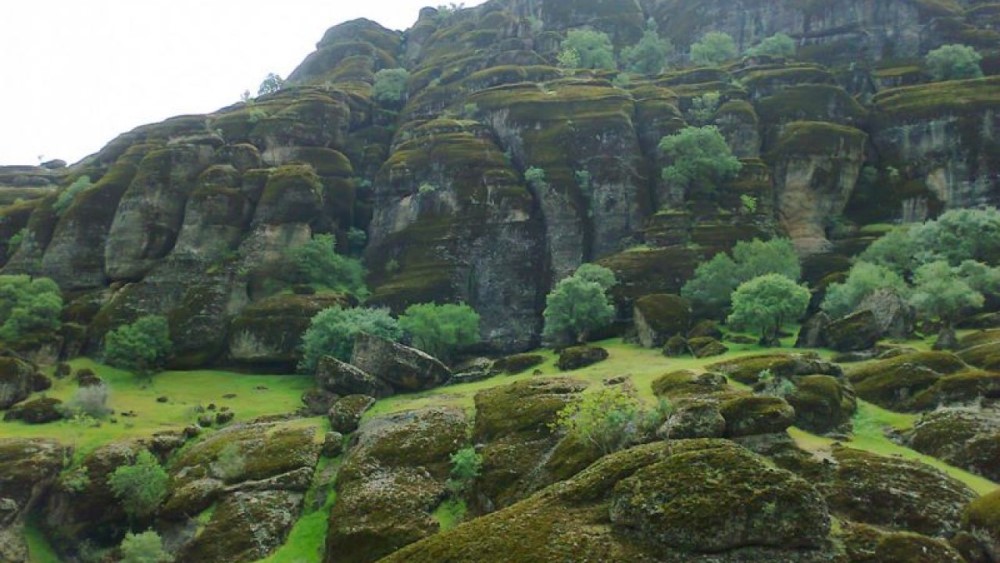 عکس مخمل کوه