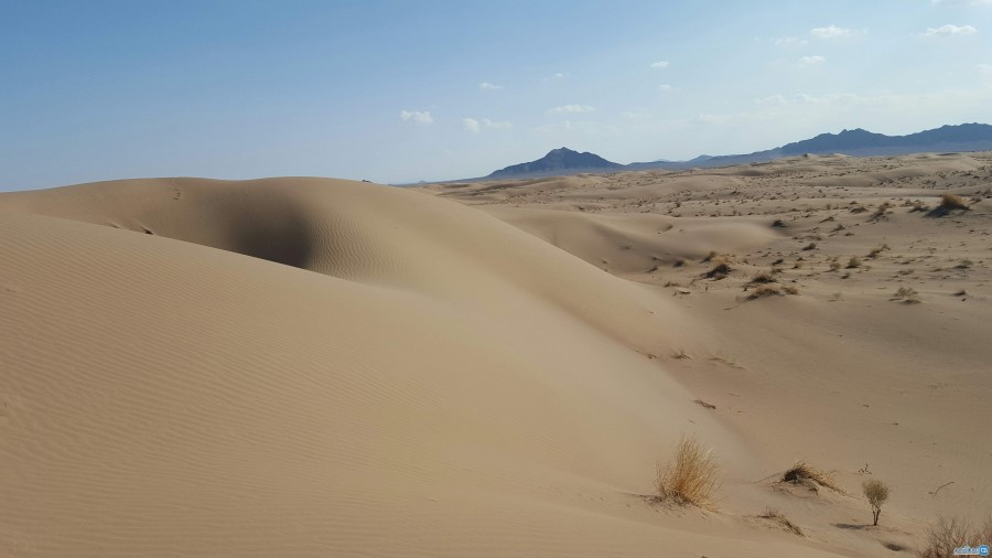 عکس های کویر یونسی