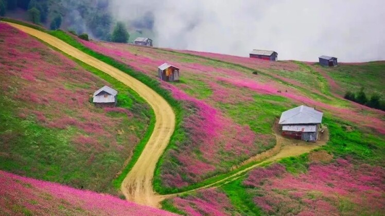 بهترین ییلاق های شمال و گیلان + عکس های آنها