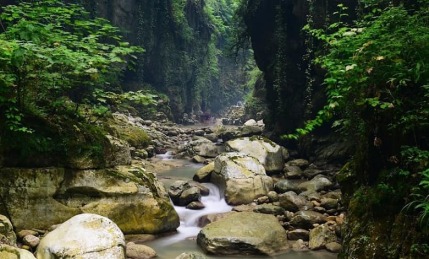 آمازون ایران کجاست؟ معرفی تنگه نوشهر