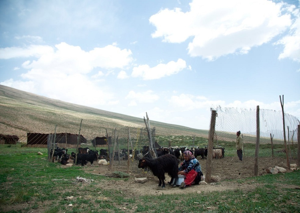 عشایر بختیاری