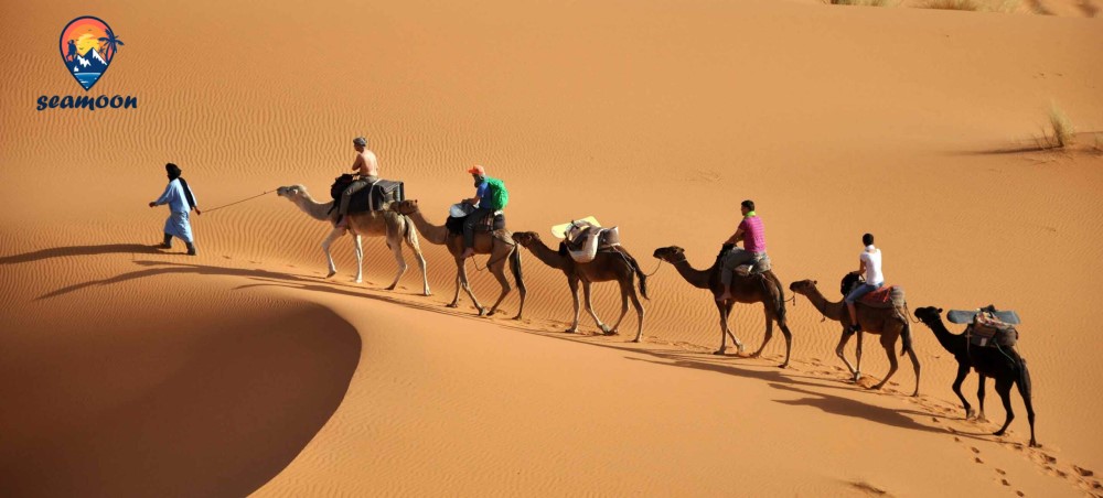 کویر نوردی چیست؟