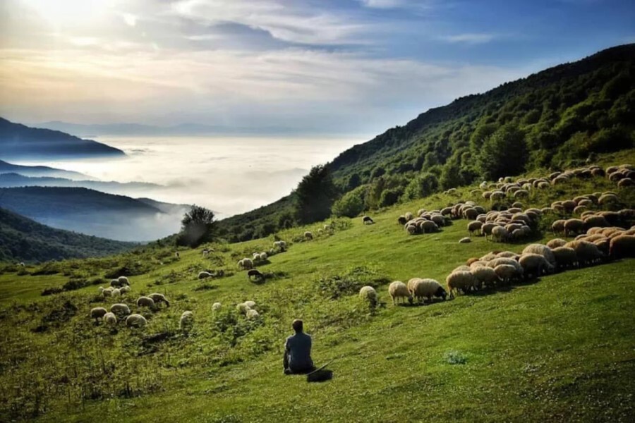  تور ییلاق دیلمان گیلان 