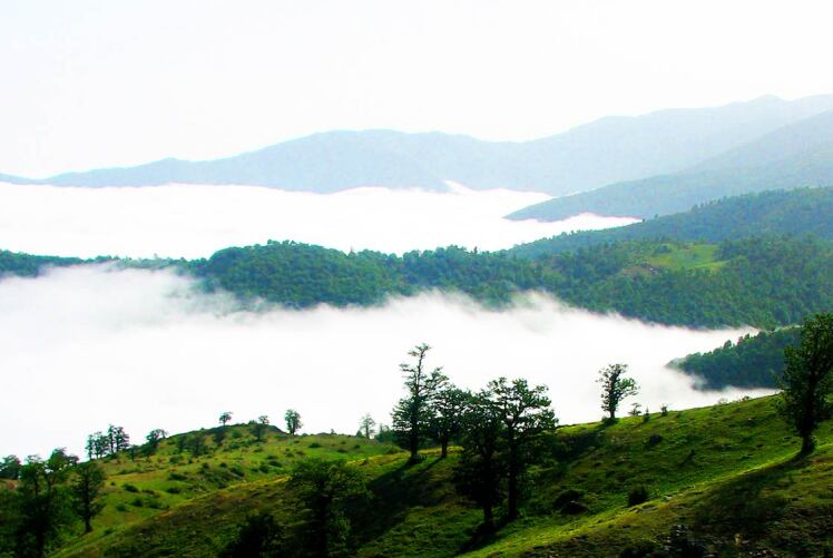 زیباترین عکس های جنگل ابر شاهرود