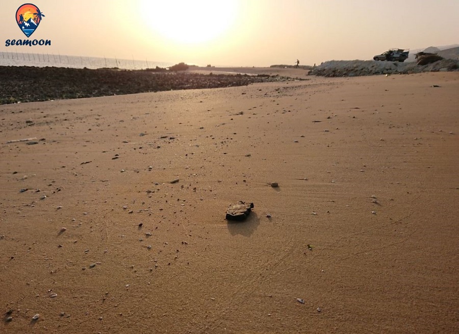 تصاویر ساحل پارسیان