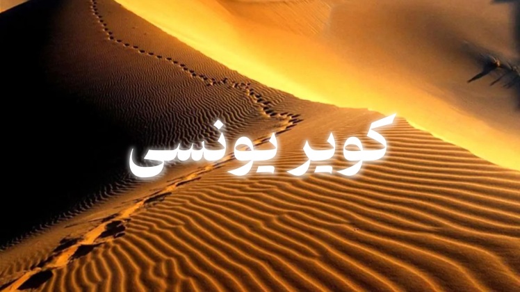 تویر یک روزه کویر یونسی