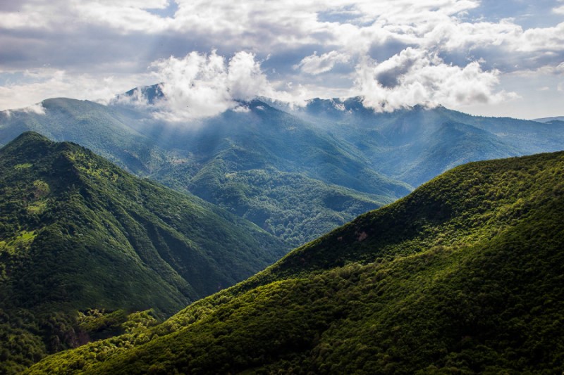 تصویر جنگل ابر