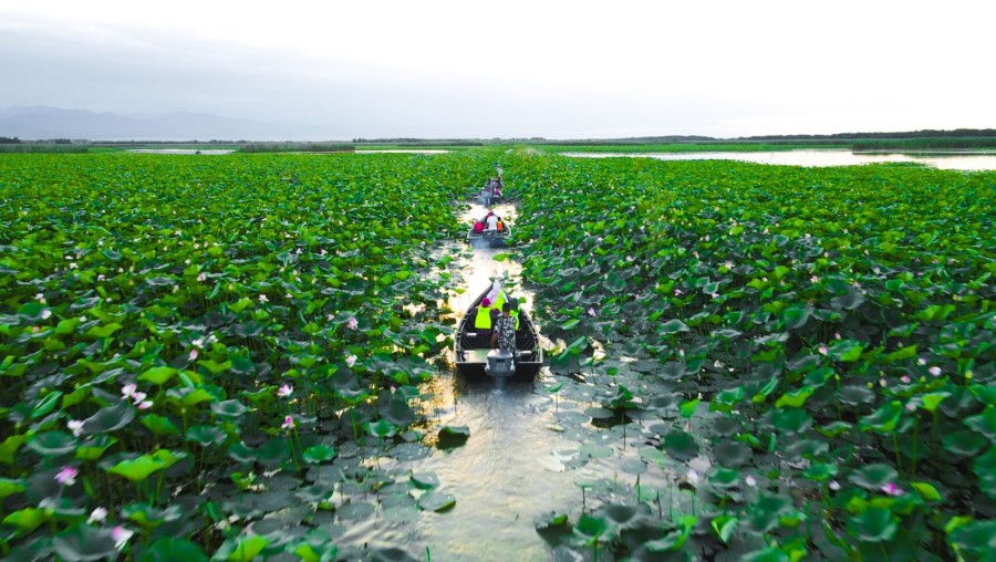 تالاب انزلی کجاست