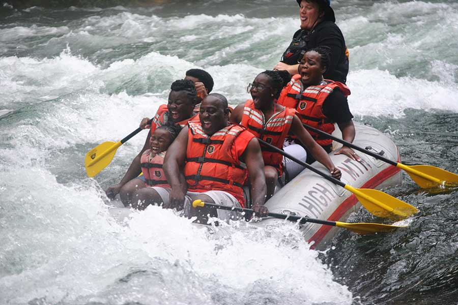  قیمت رفتینگ