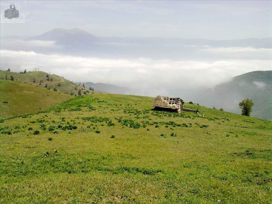 ییلاق سلانسر