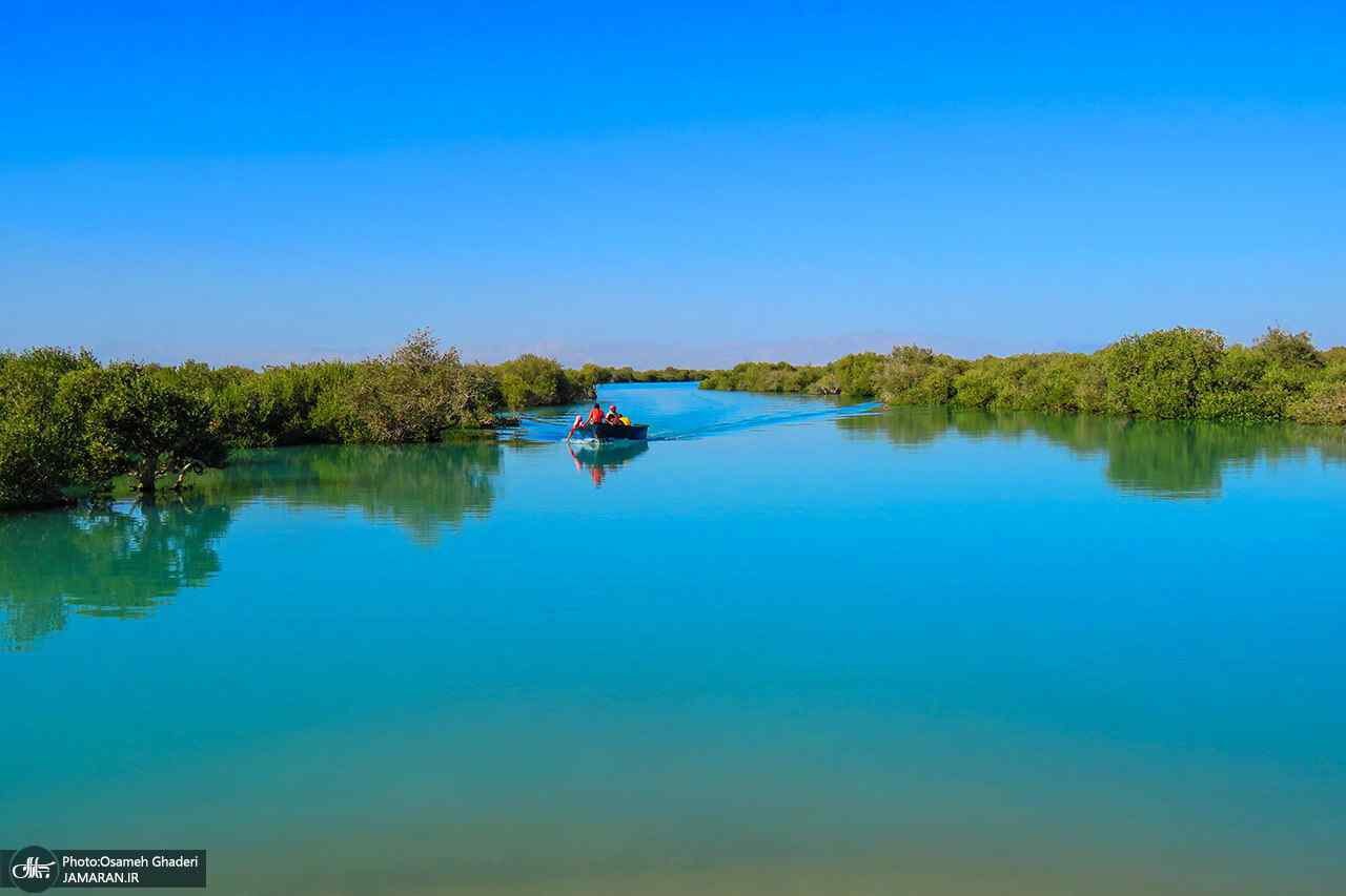جنگل حرا در جزیره قشم