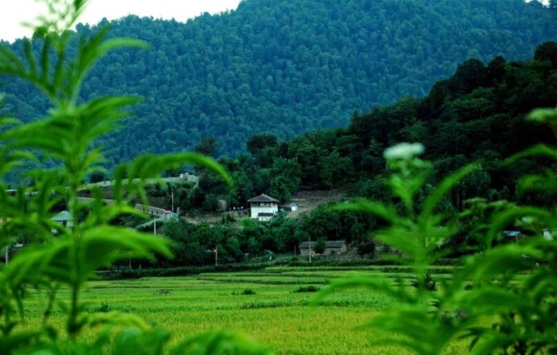 تور گیلان از مشهد