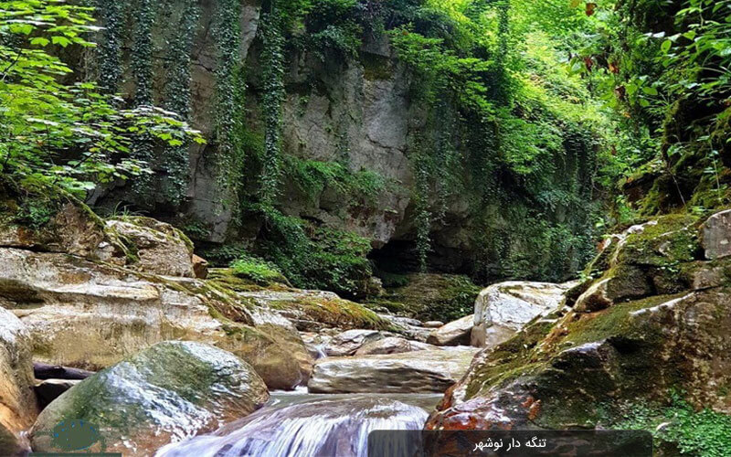 تنگه دار نوشهر