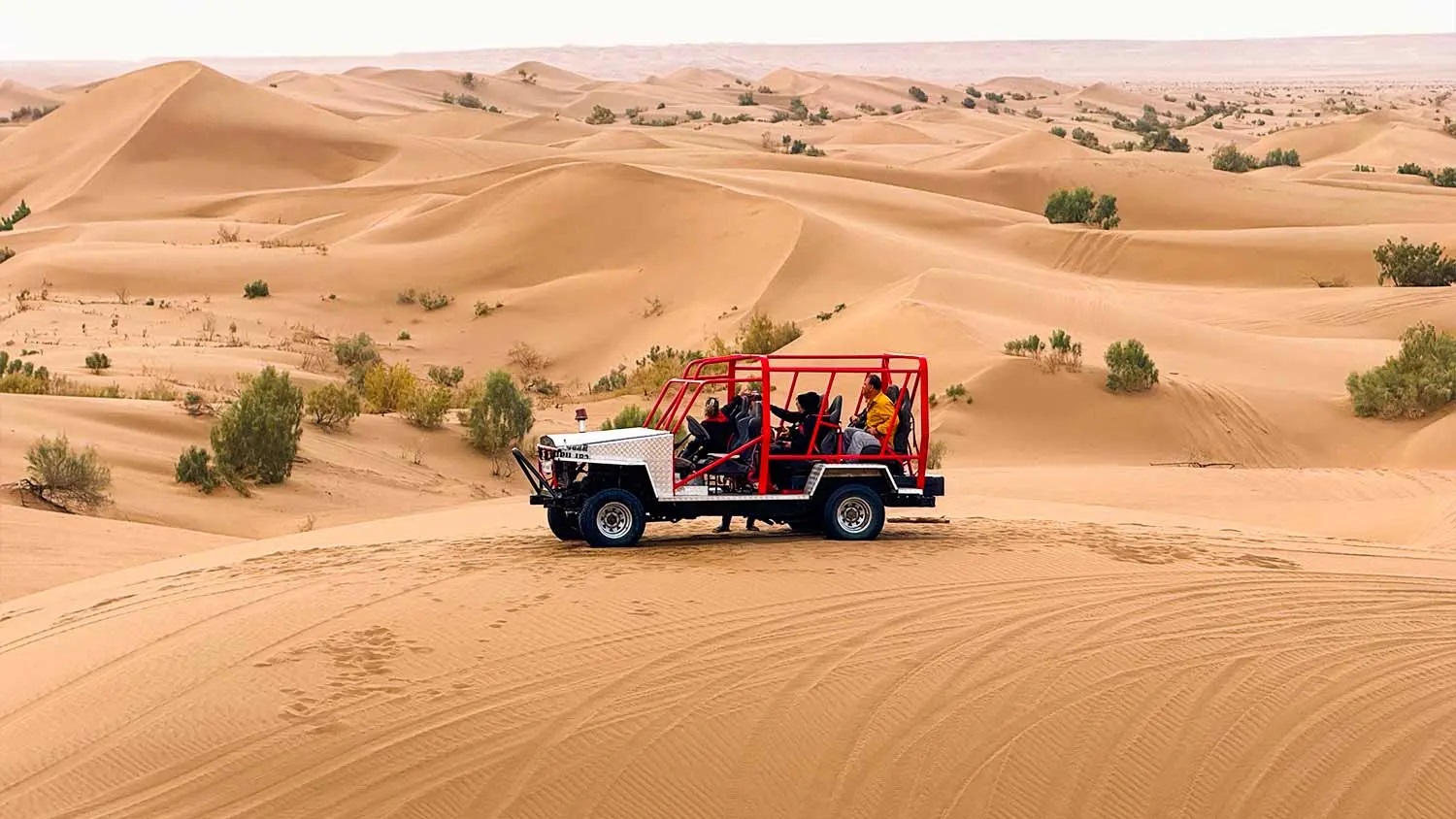 آب و هوای کویر مصر