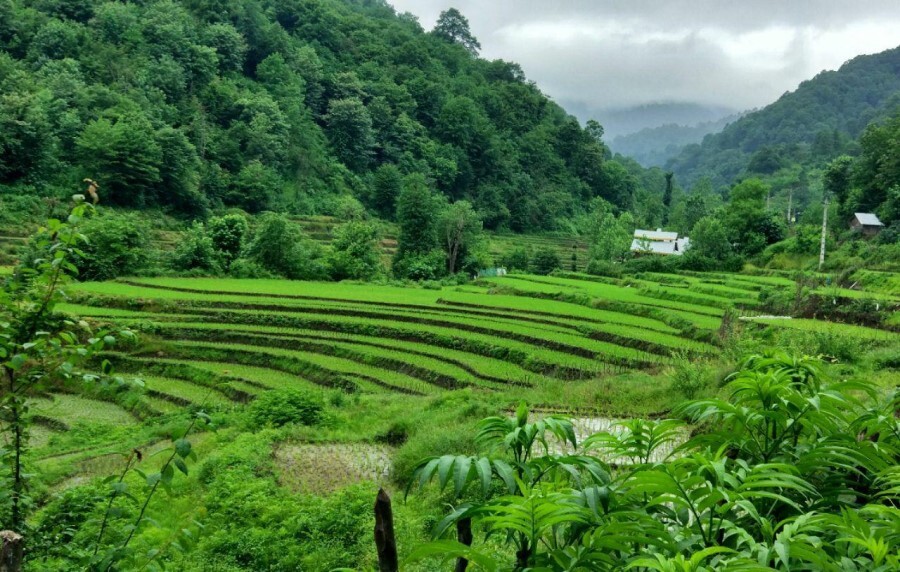 تور گیلان از مشهد زمینی