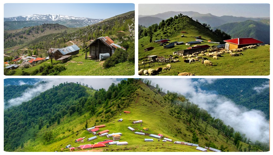 ماسال بهتره یا فیلبند