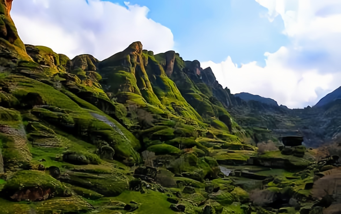  مخمل کوه لرستان