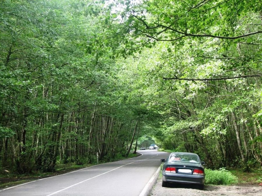 معرفی روستای گیسوم