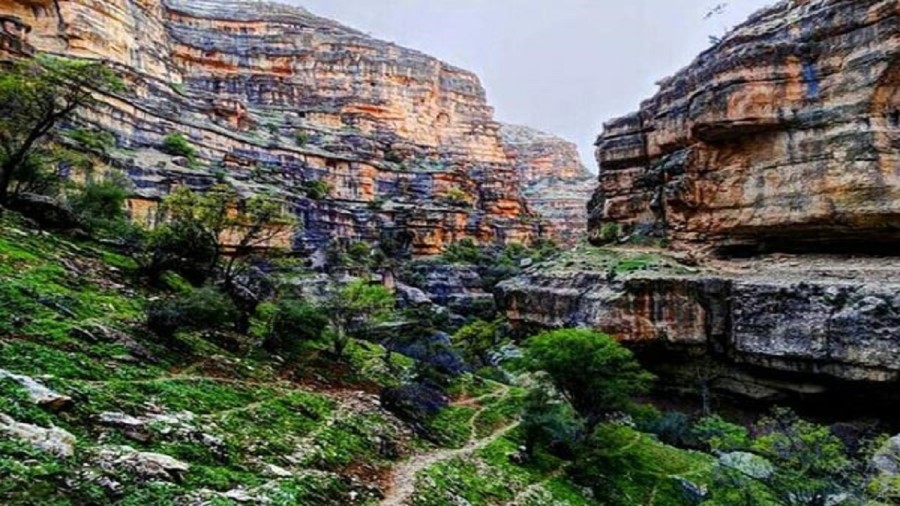 عکس دره شیرز لرستان