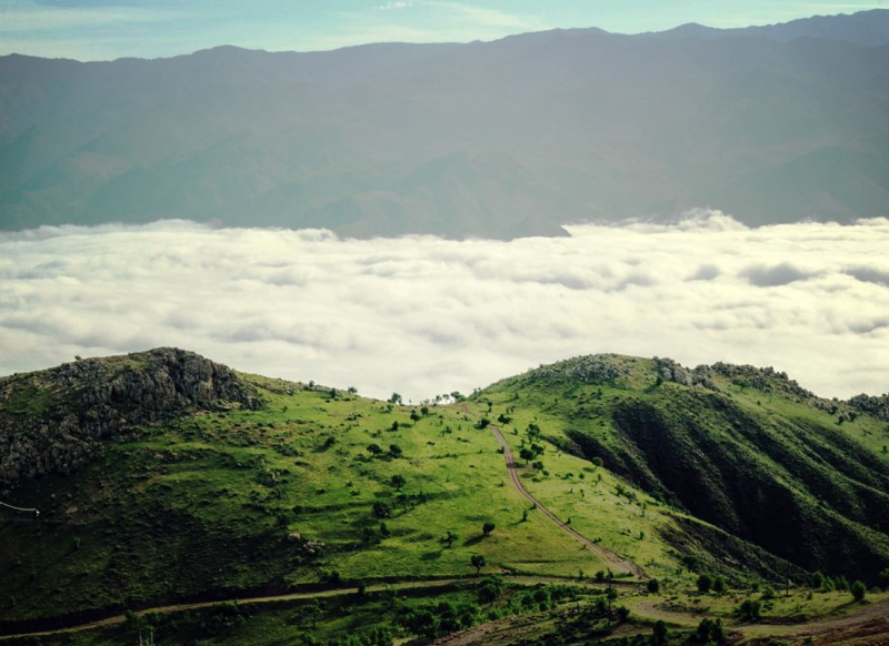 عکس جنگل ابر شاهرود