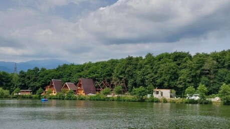 کامل ترین معرفی جنگل گیسوم در گیلان + راهنمای سفر