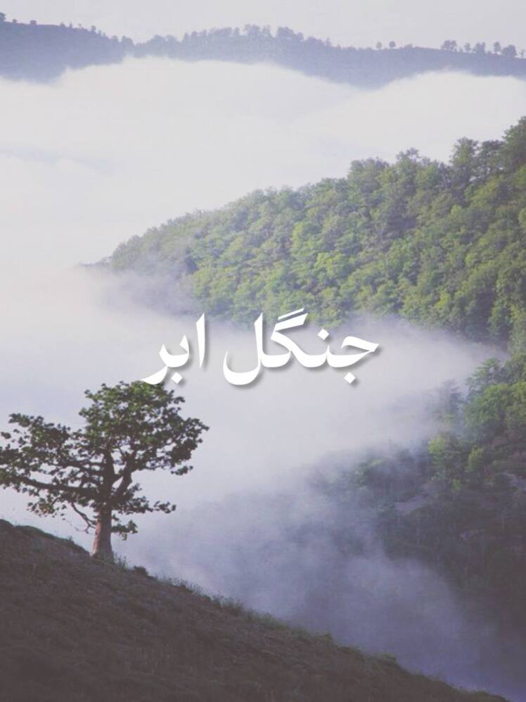 تور جنگل ابر از مشهد